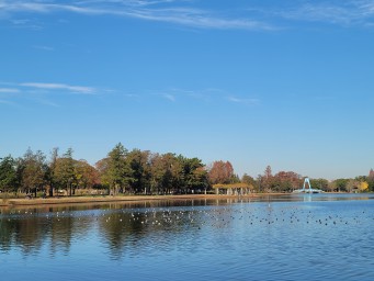 水元公園