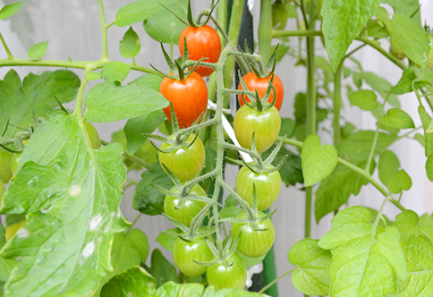 お問合せ・ご相談