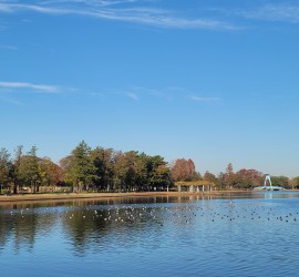 水元公園