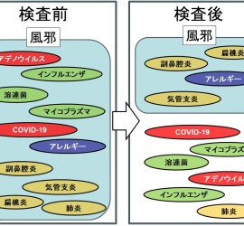 感染症・風邪の範囲